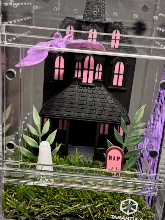 Haunted house enclosure with pink and purple accents
